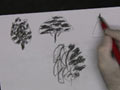 Captain Watertcolor demonstrating how to draw trees